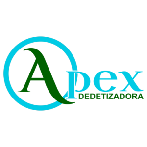 Apex